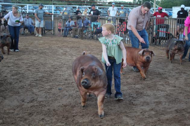 Hadley Hale, 9, of Spiro 4-H, shows her Duroc pig in Class 2 during the T-Town Showdown, held at the Tecumseh Roundup Club Arena on Aug. 27. Countywide &amp; Sun/Natasha Dunagan