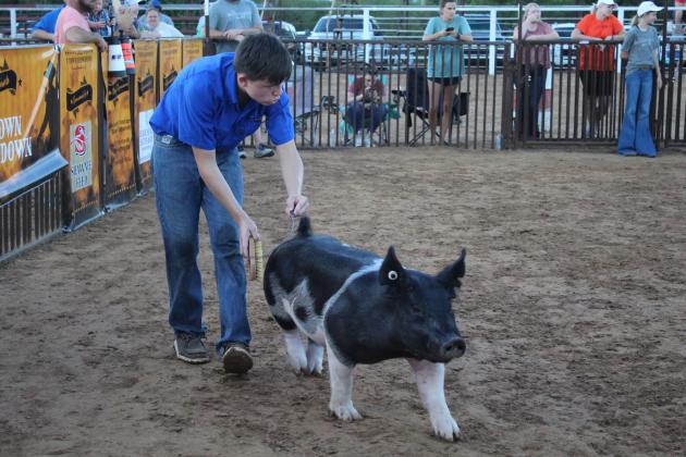 Ian Morris, of Yukon, shows his Duroc pig as Chris Hofschulte speaks about the pig's bone structure during the T-Town Showdown, held at the Tecumseh Roundup Club Arena on Aug. 27. Morris won Fifth Overall at the event. Countywide &amp; Sun/Natasha Dunagan