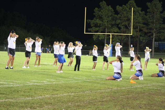 The Little Miss Wild Kitty cheerleaders perform.