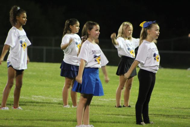 The Little Miss Wild Kitty cheerleaders perform.