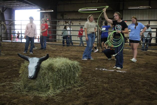 Farmhand Olympics