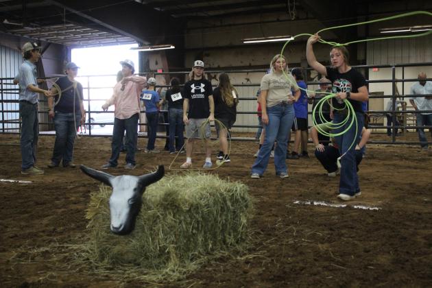 Farmhand Olympics