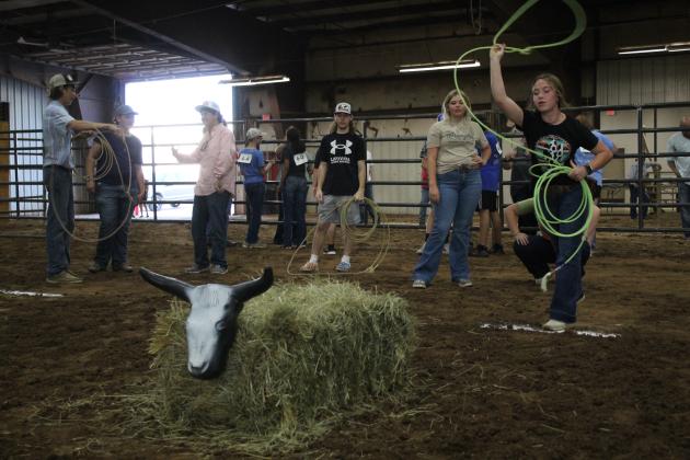 Farmhand Olympics