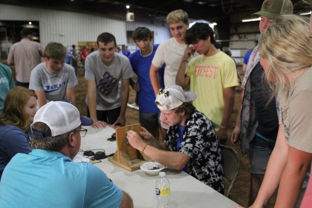 Farmhand Olympics