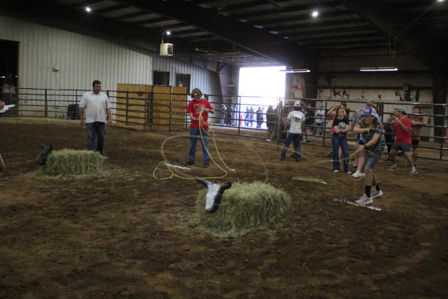 Farmhand Olympics
