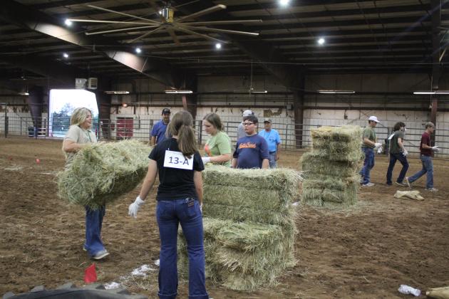 Farmhand Olympics