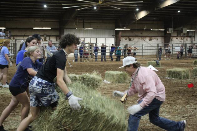 Farmhand Olympics