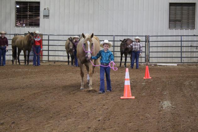 4H &amp; FFA Horse Show