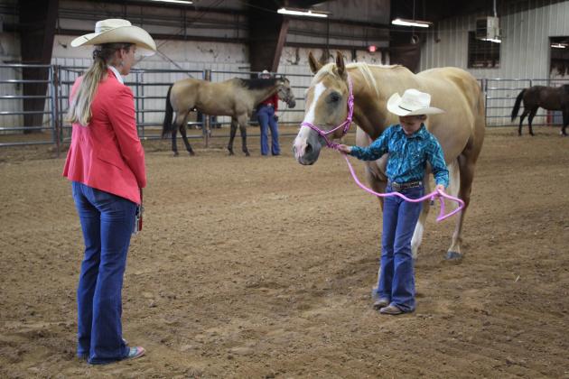 4H &amp; FFA Horse Show