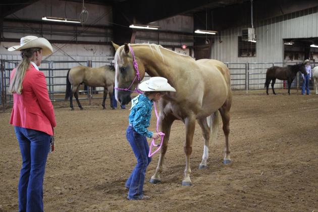 4H &amp; FFA Horse Show
