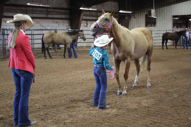 4H &amp; FFA Horse Show
