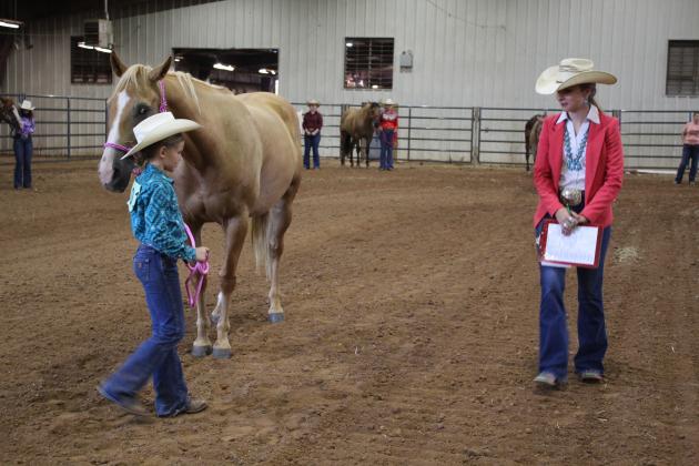 4H &amp; FFA Horse Show
