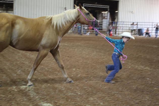4H &amp; FFA Horse Show