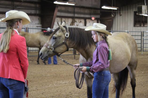 4H &amp; FFA Horse Show