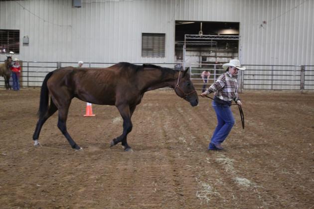 4H &amp; FFA Horse Show