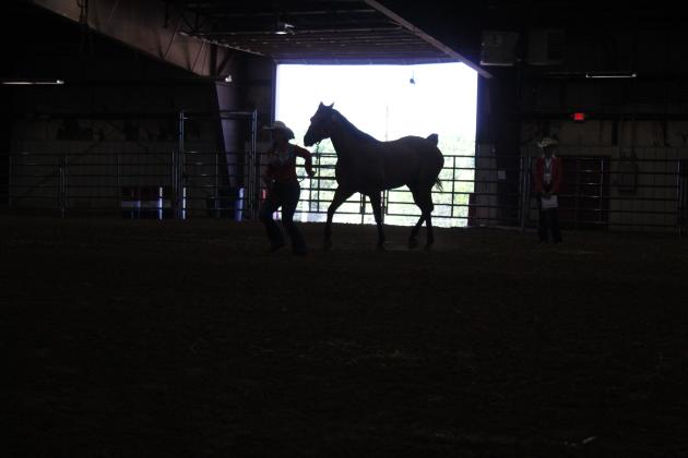 4H &amp; FFA Horse Show