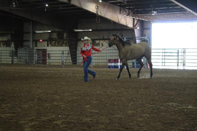 4H &amp; FFA Horse Show