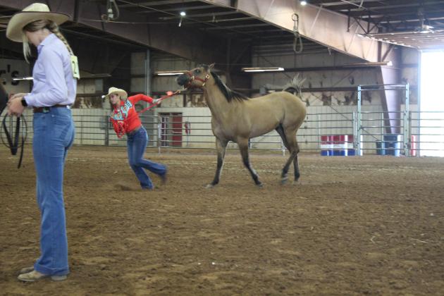 4H &amp; FFA Horse Show