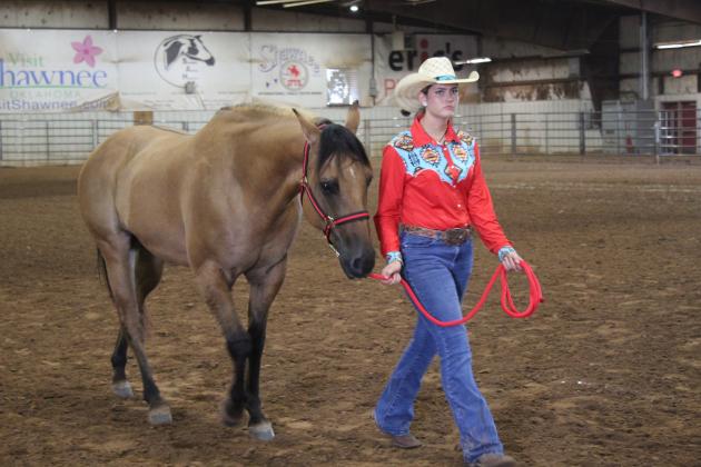 4H &amp; FFA Horse Show