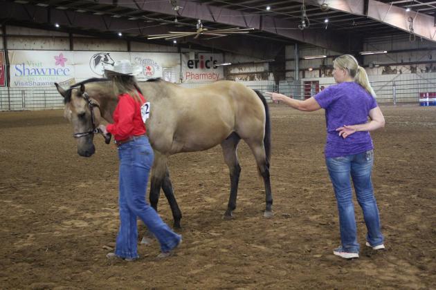 4H &amp; FFA Horse Show