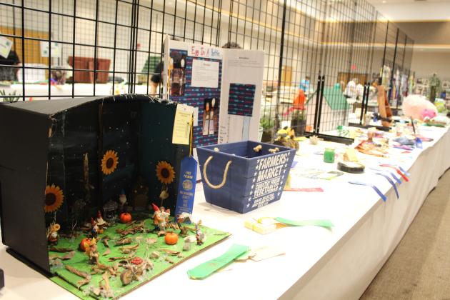 Craft Contest