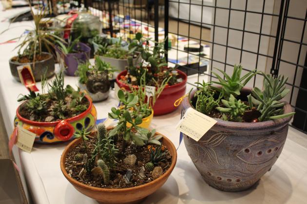 Container Gardening Contest