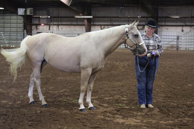 Pott. Co. Horse Show