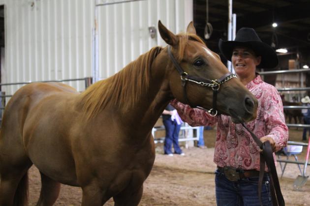 Pott. Co. Horse Show