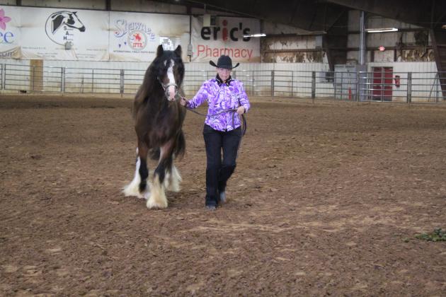 Pott. Co. Horse Show