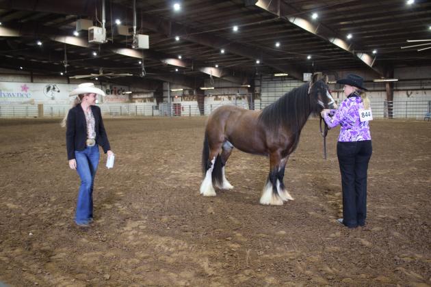 Pott. Co. Horse Show