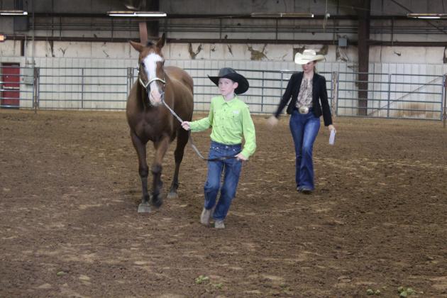 Pott. Co. Horse Show
