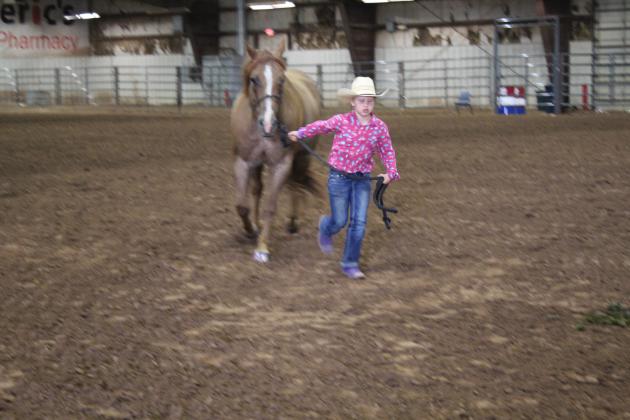 Pott. Co. Horse Show