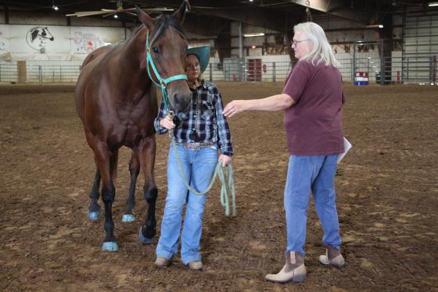 Pott. Co. Horse Show