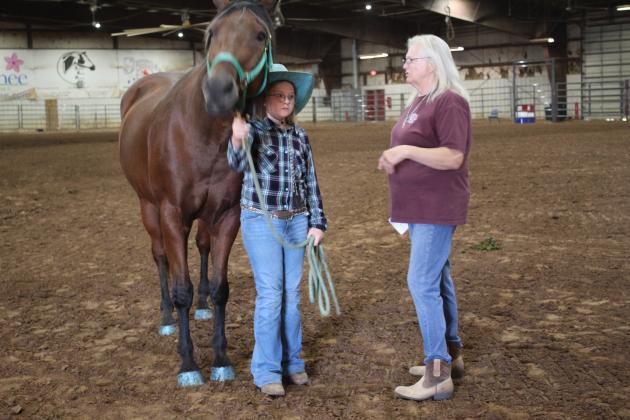 Pott. Co. Horse Show