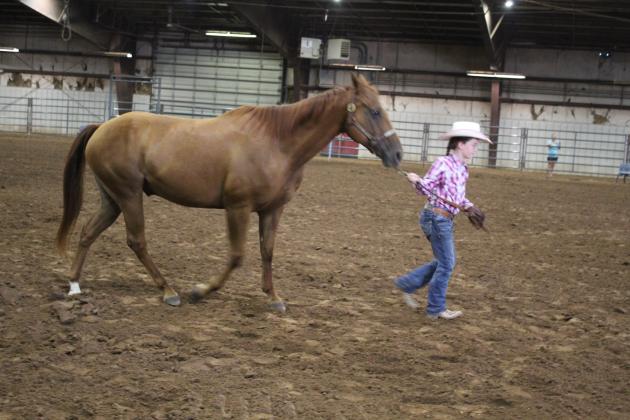 Pott. Co. Horse Show