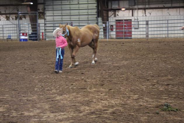 Pott. Co. Horse Show