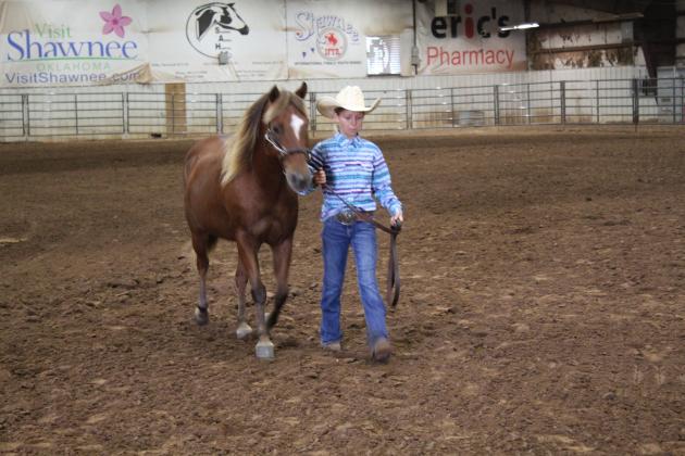 Pott. Co. Horse Show