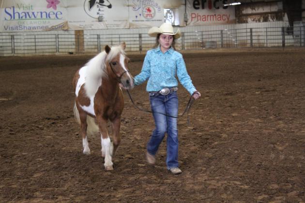 Pott. Co. Horse Show