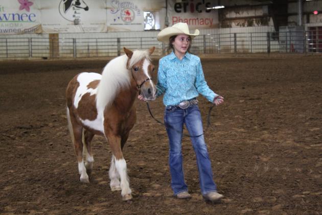 Pott. Co. Horse Show