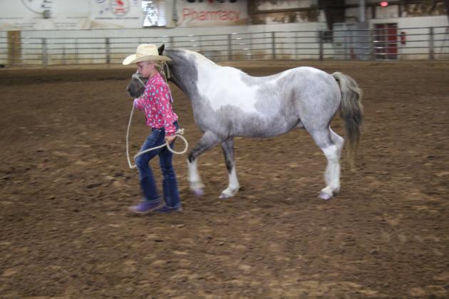 Pott. Co. Horse Show