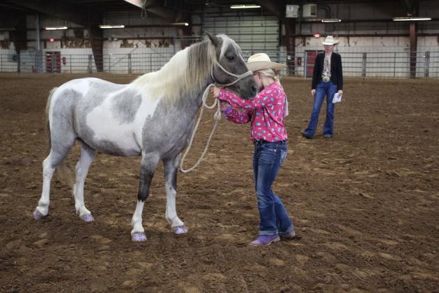 Pott. Co. Horse Show