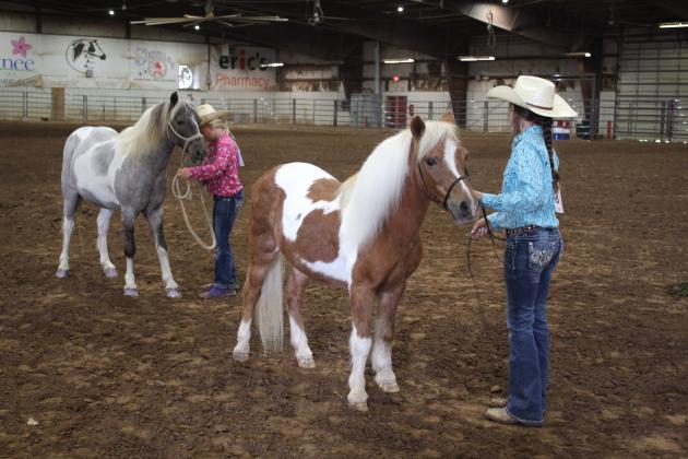 Pott. Co. Horse Show