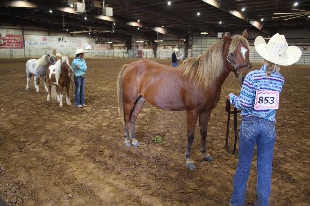 Pott. Co. Horse Show