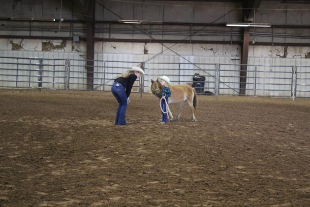 Pott. Co. Horse Show