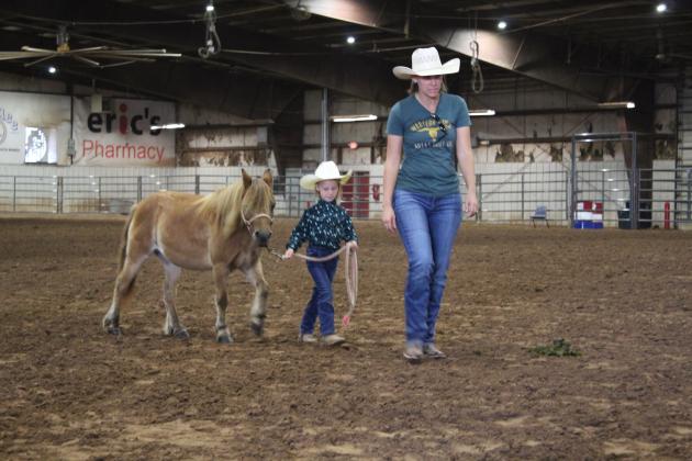 Under the direction of her mother, Jensen Dockrey leads her Miniature Horse in the Pottawatomie County Horse Show during the Free Fair on Sept. 10. Dockrey placed second in the class. Countywide &amp; Sun/Natasha Dunagan