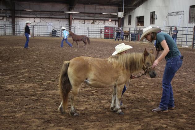 Pott. Co. Horse Show