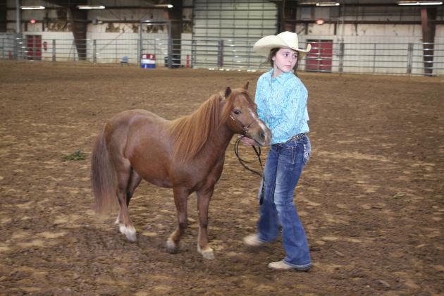 Pott. Co. Horse Show
