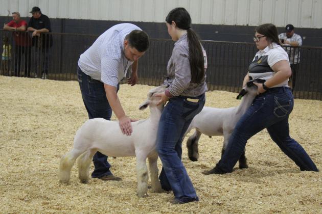 Addyson Troxel, of NRC FFA, and Audrey Eyster, of McLoud FFA, show their Class 1 Wethers at the Pottawatomie County Free Fair on Sept. 10. Troxel won in her class. Countywide &amp; Sun/Natasha Dunagan