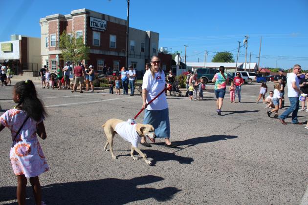 Frontier Days Parade