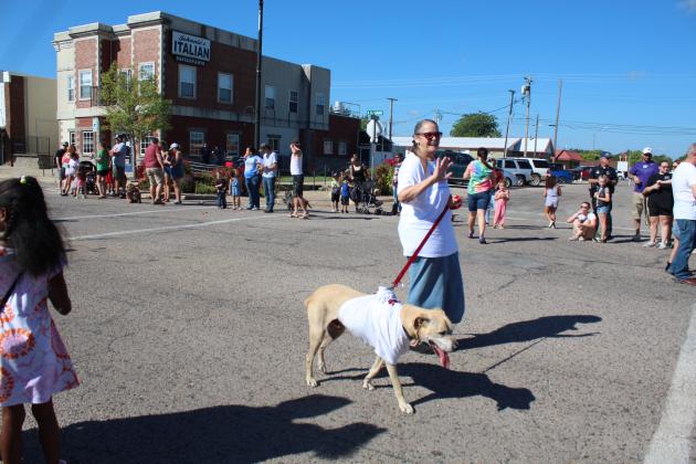 Frontier Days Parade